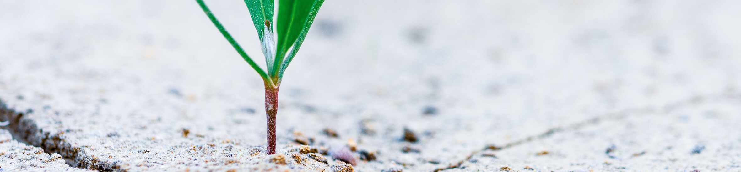 SEO : Par où commencer son optimisation ? Partie 1